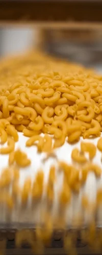 manufactura de pastas, fideos y spaguetti en Ecuador