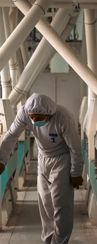 Harinas y derivados industriales de manufactura en Ecuador