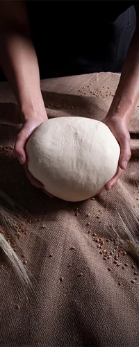Levadura e insumos de pasteleria en Ecuador